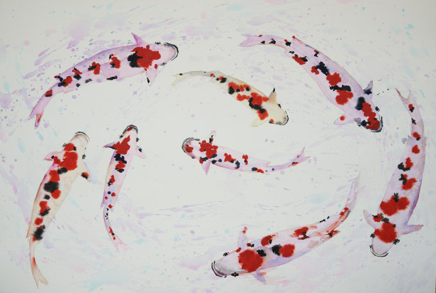 美丽的鲤鱼水彩画图片下载