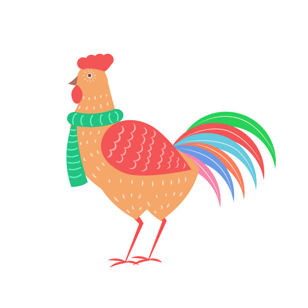 特写公鸡与围巾矢量插图图片下载