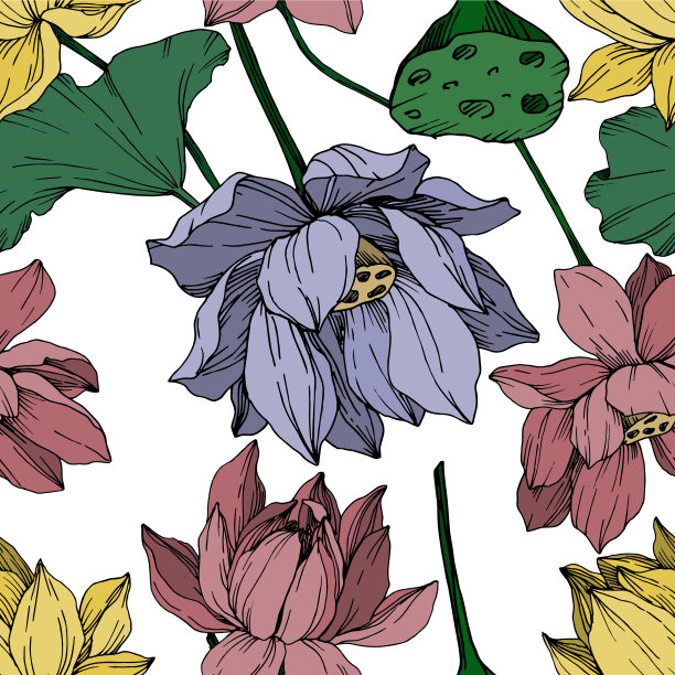 向量莲花花植物花。黑白篆刻水墨艺术。无缝的背景图案。图片下载