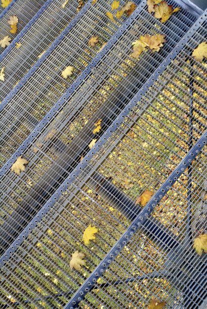 格子楼梯上的秋叶图片下载