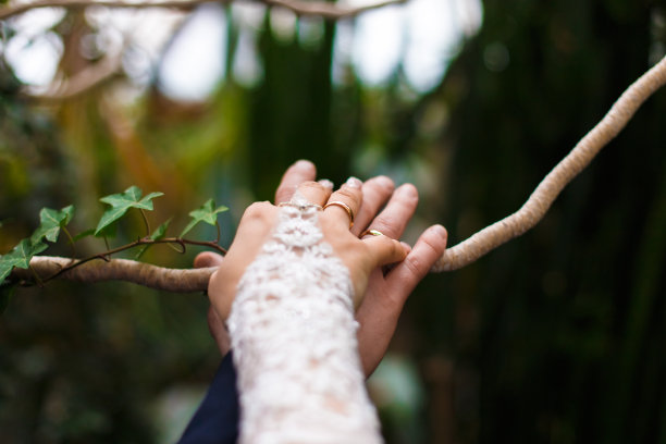 特写已婚夫妇的手在夏天的背景图片下载