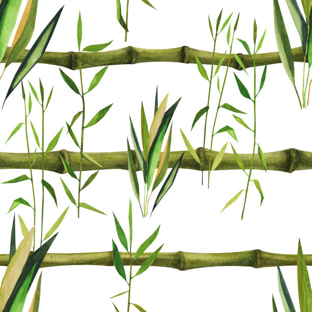 用竹叶手绘水彩图案。无缝模式素材图片