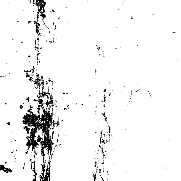 白色背景下的气泡特写镜头图片下载