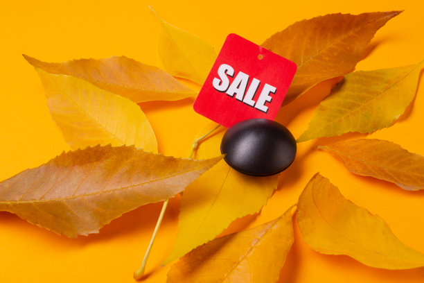 在黄叶上放了一枚磁夹防盗，概念秋季采购，季节性销售，商业安全图片下载