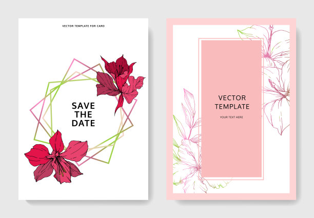 热带的花和叶。黑白篆刻水墨艺术。婚礼背景卡装饰边框。图片下载