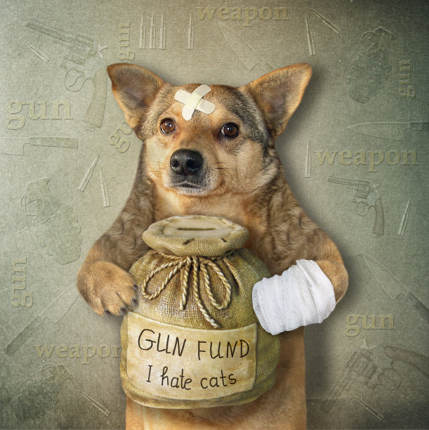 狗与钱箱枪支基金2图片下载