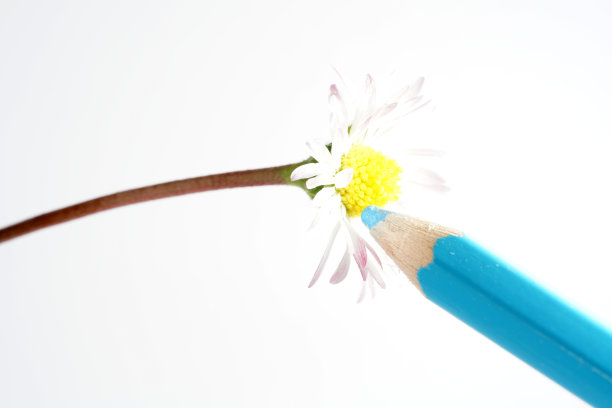 黛西用铅笔画画，画得完美无缺图片下载