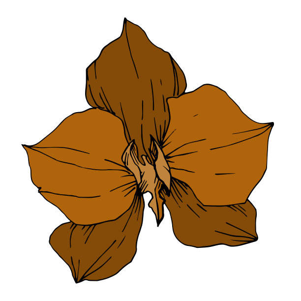 病媒热带花和叶孤立。黑白篆刻水墨艺术。孤立植物插图元素。图片下载