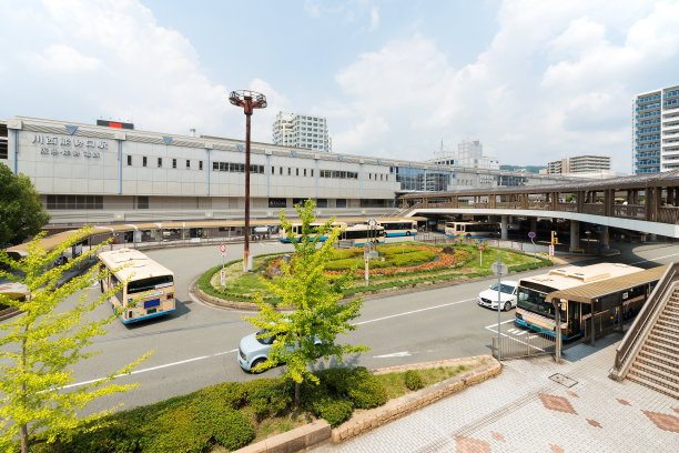 川口顺子图片下载