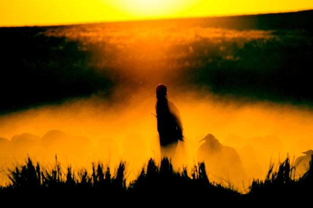 日落自然和牧羊人。日落的自然背景。绵羊和牧羊人的剪影。图片下载