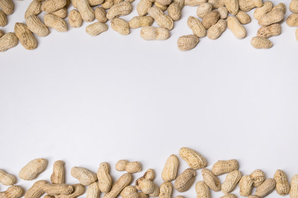 近距离观察新鲜有机花生在白色背景下，对食物过敏的敏感人群图片下载