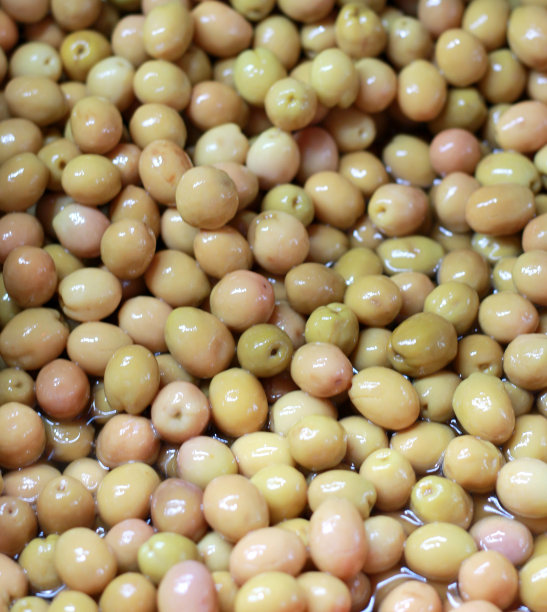 有机绿色橄榄图片下载