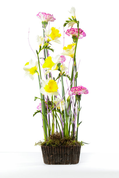 许多不同的花的花束图片下载