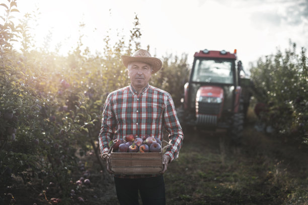 苹果园里的老农肖像。图片下载