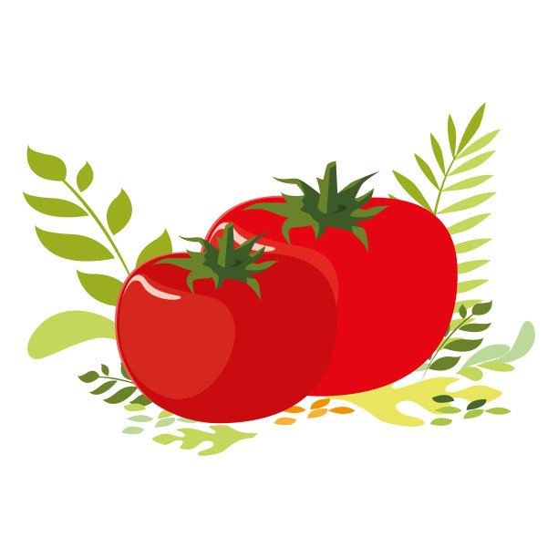 孤立番茄图标矢量设计图片下载