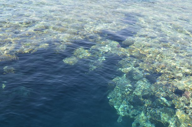 红色海洋：埃及海域的珊瑚海底风光图片下载