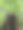 树根缠绕着老树桩图片下载