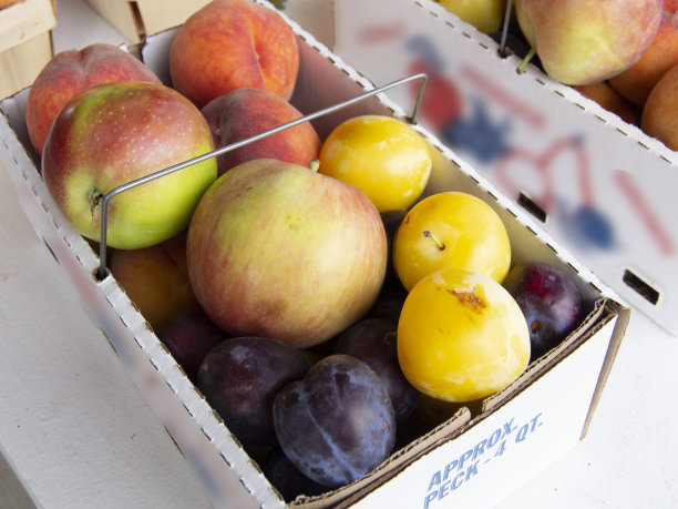 什锦水果盒图片下载