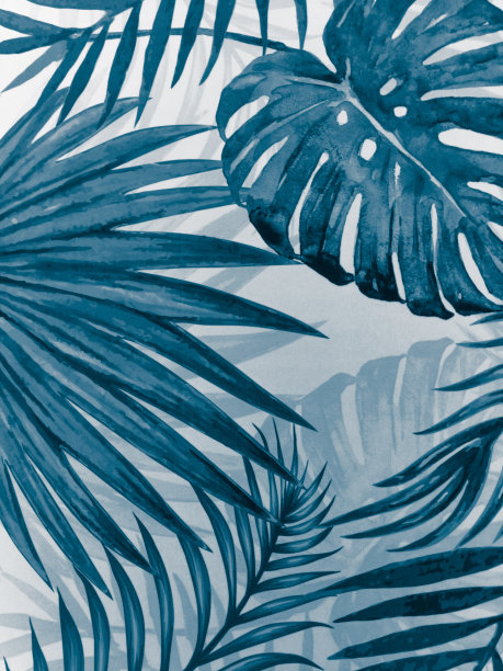 美丽抽象的黑色和蓝色的叶子在白色与自然的背景和白色蓝色的树叶在黑暗的纹理图案图片下载