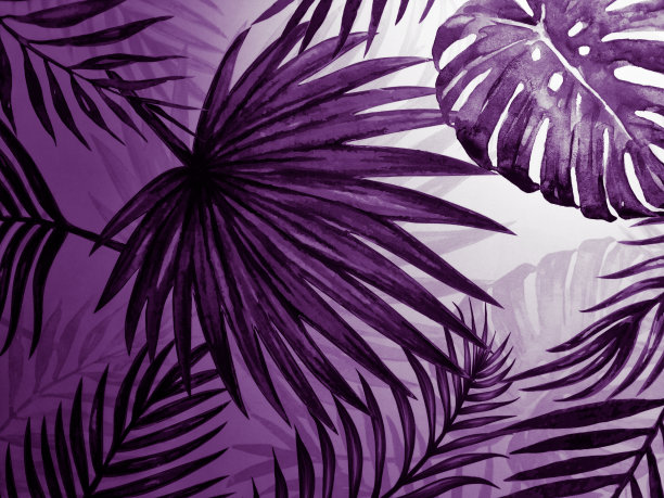 美丽抽象的黑色和粉红色紫色的叶子在白色与自然的背景和白色紫色的树叶在黑暗的纹理图案图片下载