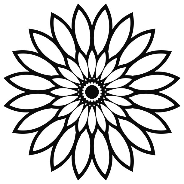 曼荼罗大纲。装饰性的圆形涂鸦花孤立在白色的背景上。圆的几何元素。矢量插图。图片下载