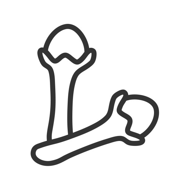 丁香香料轮廓矢量图标孤立的白色背景。丁香香料平面图标为网页，移动和用户界面设计。草药和香料天然健康图片下载