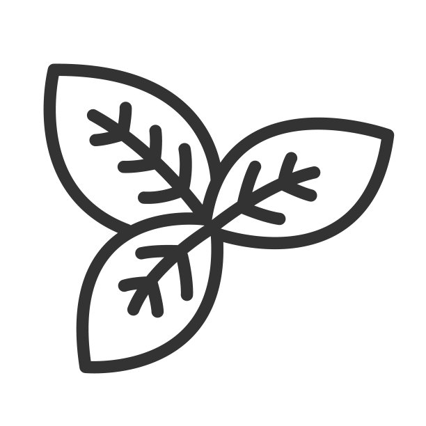 罗勒叶香料轮廓矢量图标孤立在白色背景。罗勒叶香料平面图标为网页，移动和用户界面设计。草药和香料天然健康图片下载