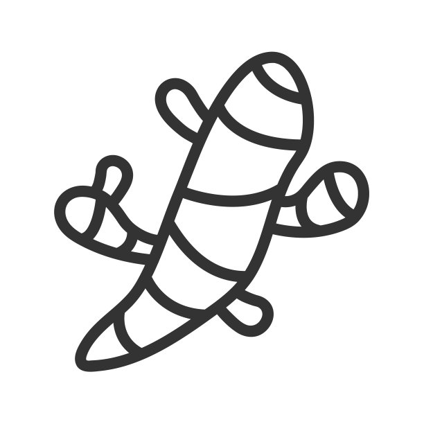 姜根香料轮廓矢量图标孤立在白色背景。姜根香料平面图标为网页，移动和用户界面设计。草药和香料天然健康图片下载