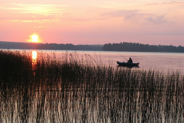晚上钓鱼。大湖上一艘小船上渔夫的剪影。在夕阳下钓鱼。沿海岸生长的莎草。图片下载