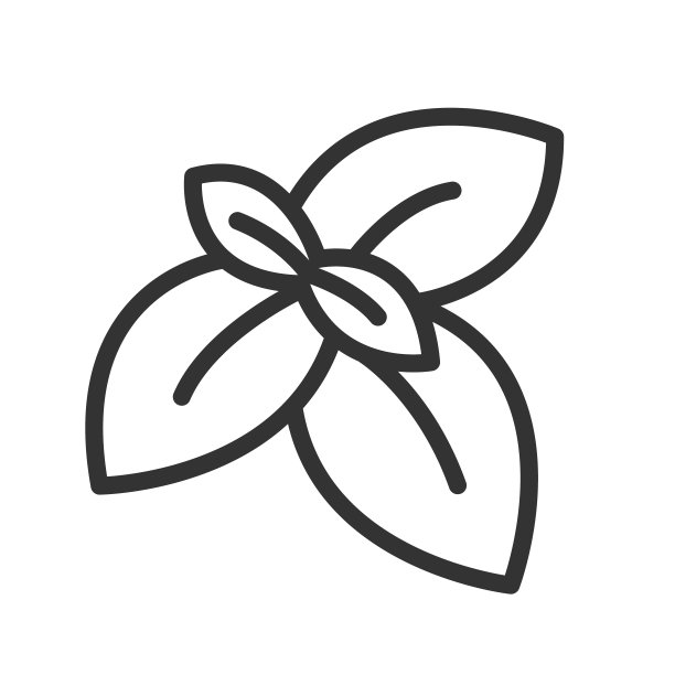 牛至叶香料轮廓矢量图标孤立在白色背景。牛至叶香料平面图标为网页，移动和用户界面设计。草药和香料天然健康图片下载