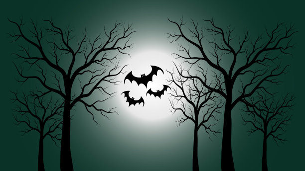 阴森森的森林里有满月和飞翔的蝙蝠，这就是万圣节图片下载