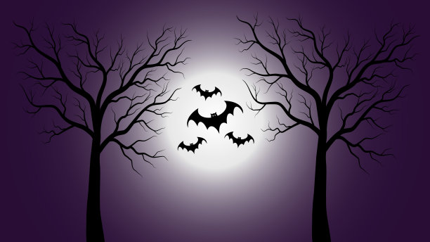 阴森森的森林里有满月和飞翔的蝙蝠，这就是万圣节图片下载