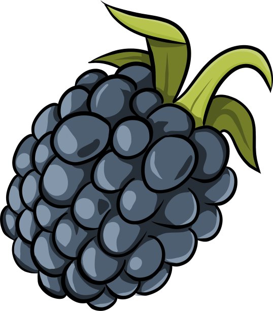 甜黑莓图片下载