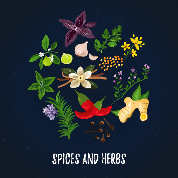 矢量插图香料和香草。圆形边框植物。抽象的草本植物设计图片下载