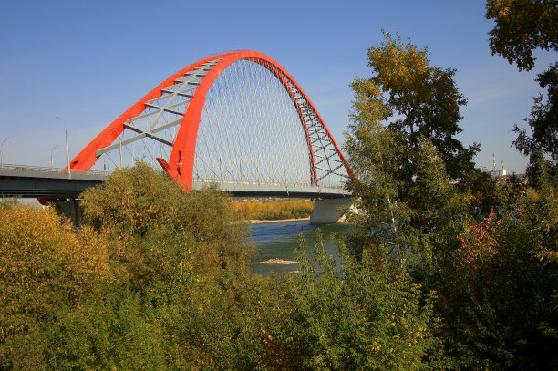 斜拉桥呈红色，透过树叶和树枝观看。图片下载