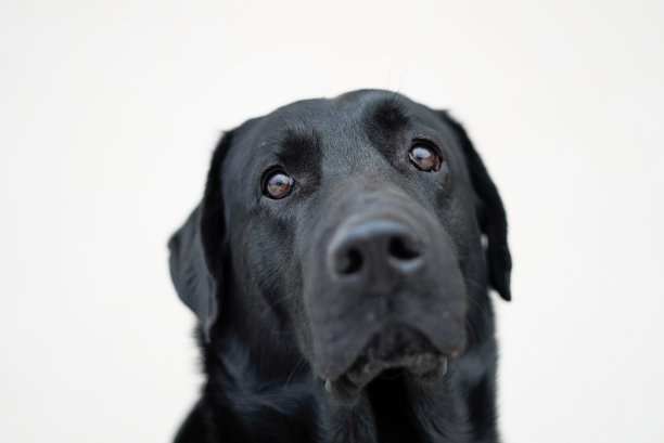 可爱的眼睛图片下载