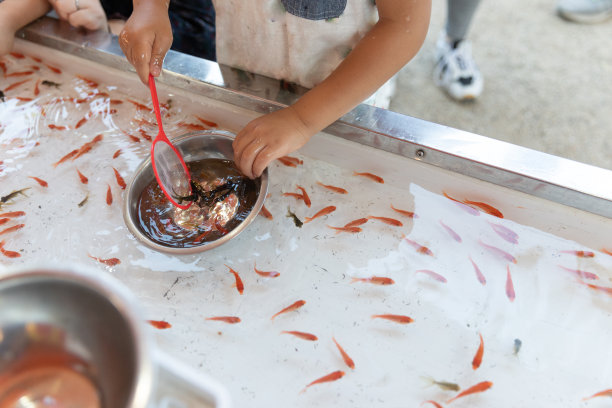 孩子喜欢捉金鱼图片下载