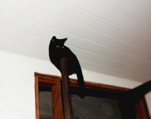 现在我要怎么离开这里?图片下载