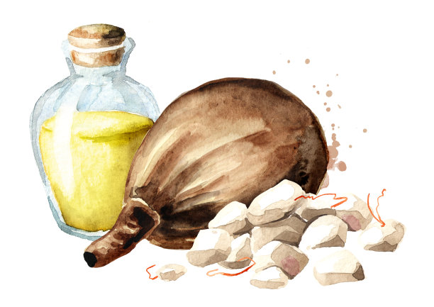 带干果肉和油的猴面包树果实。水彩手绘插图，孤立的白色背景图片下载