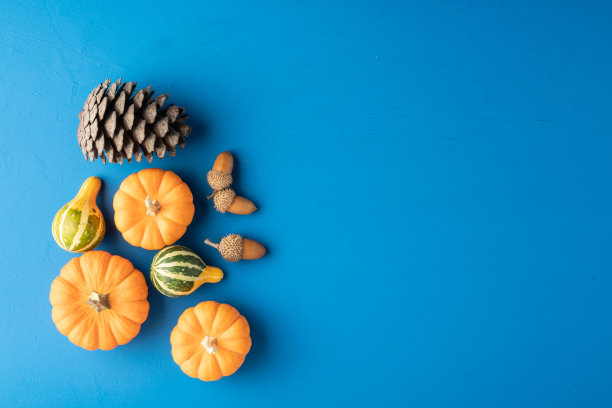 万圣节南瓜在蓝色的背景图片下载