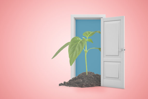 绿色芽在白色的门口在粉红色的背景的3d渲染。生态和环境。环境问题。数字艺术。图片下载