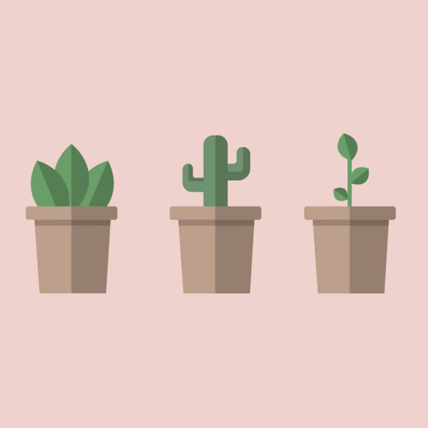 盆栽植物图片下载