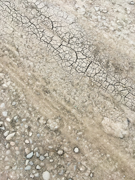 裂缝里有干燥的地面。全球环境问题。图片下载
