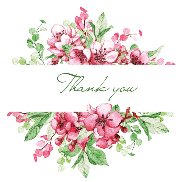 粉红色条纹樱花的叶子图片下载