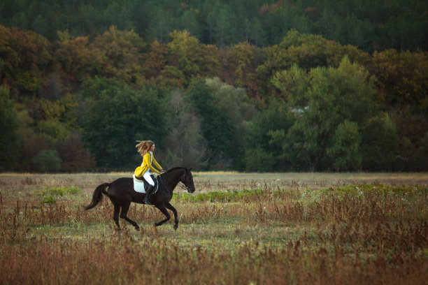 一个年轻的女孩骑着马疾驰。图片下载