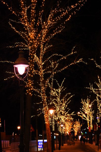 圣诞节和新年装饰在晚上的城市维也纳在奥地利股票照片图片下载