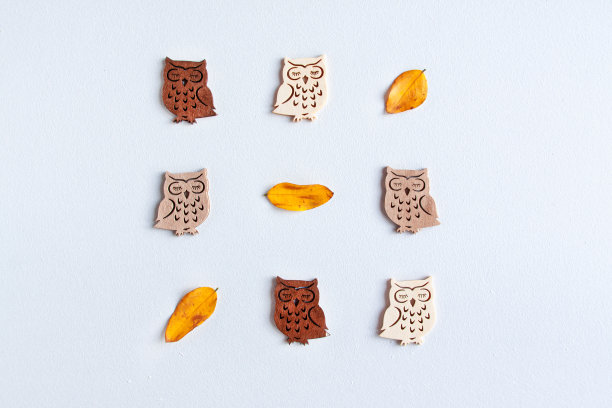 猫头鹰模式图片下载