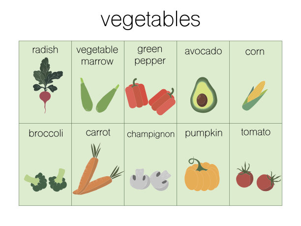 牛油果、萝卜、骨髓、胡椒粉、玉米、花椰菜、胡萝卜、香槟、南瓜、番茄等有机天然蔬菜素描。推广用彩色矢量插图;农业主题，农贸市场;标签设计图片下载