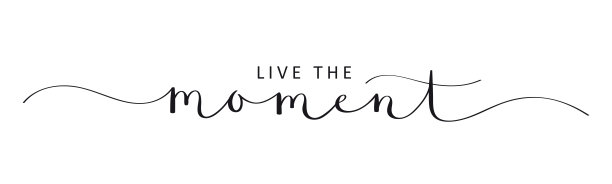 活在当下，刷书法横幅图片下载