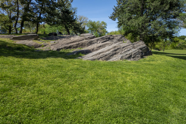 公园绿地上有大片分层的岩石和树木图片下载